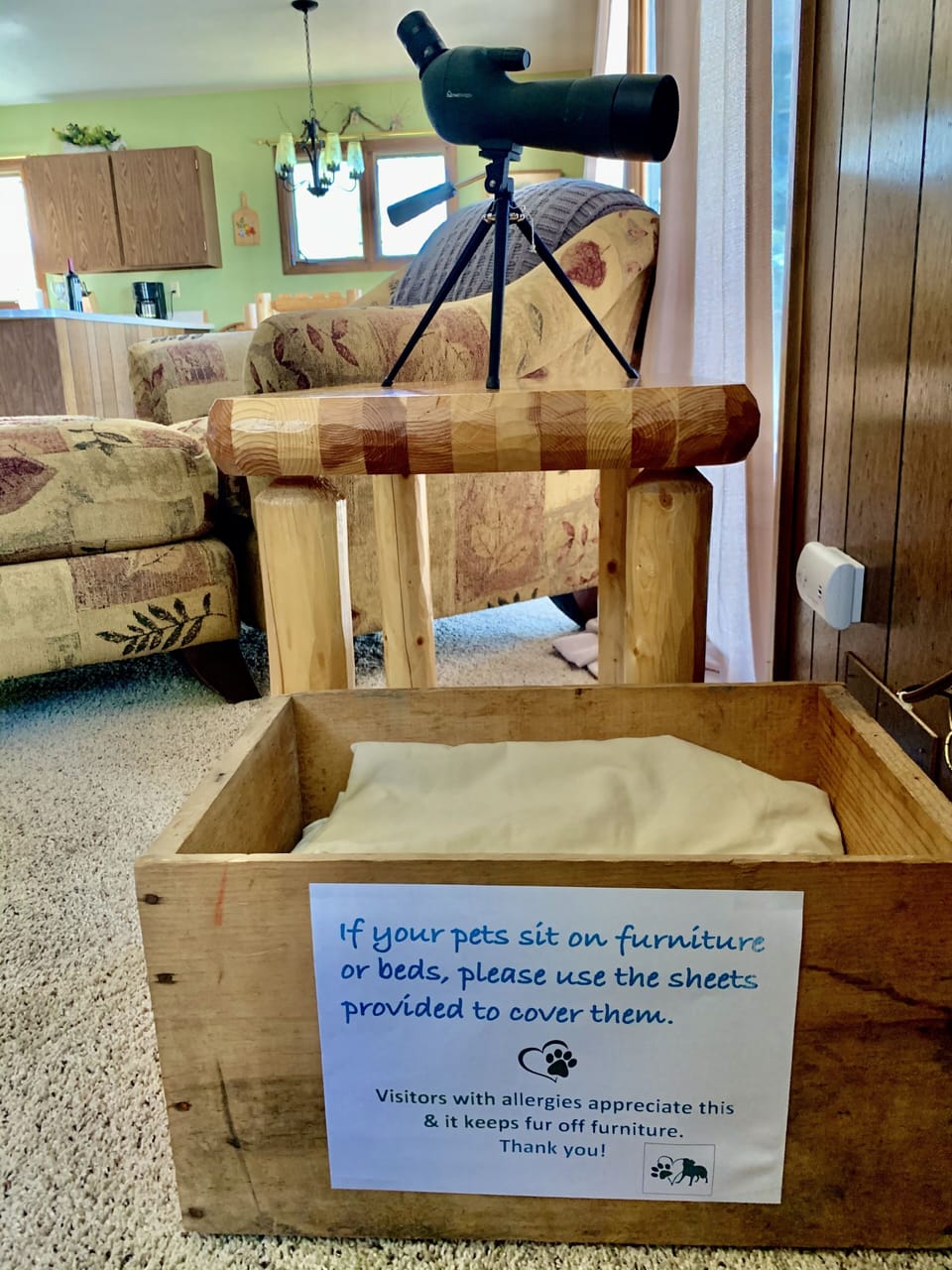 Sheets for furniture if fur babies like to sit on beds or furniture. 