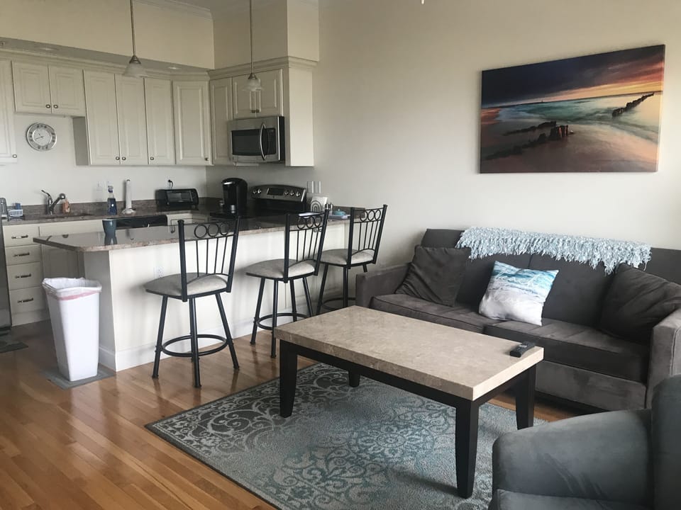 Living/Kitchen area