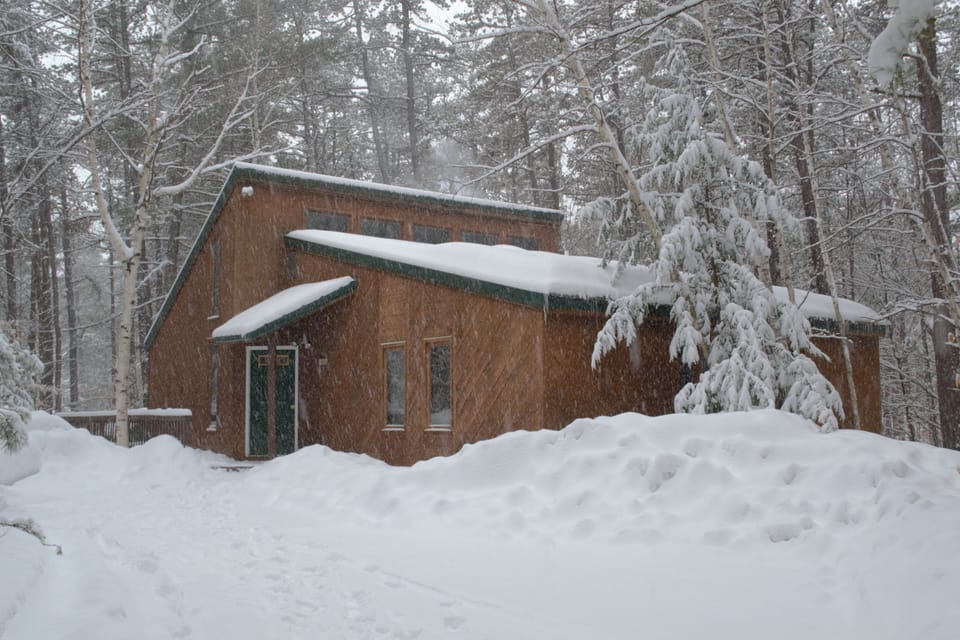 Winter wonderland