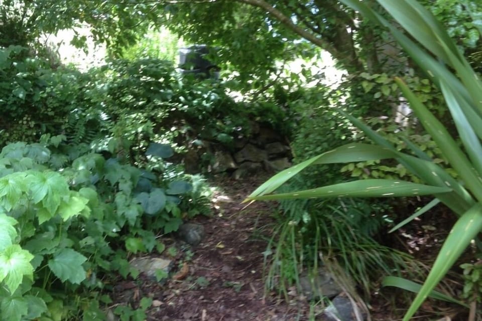 Up path toward back door