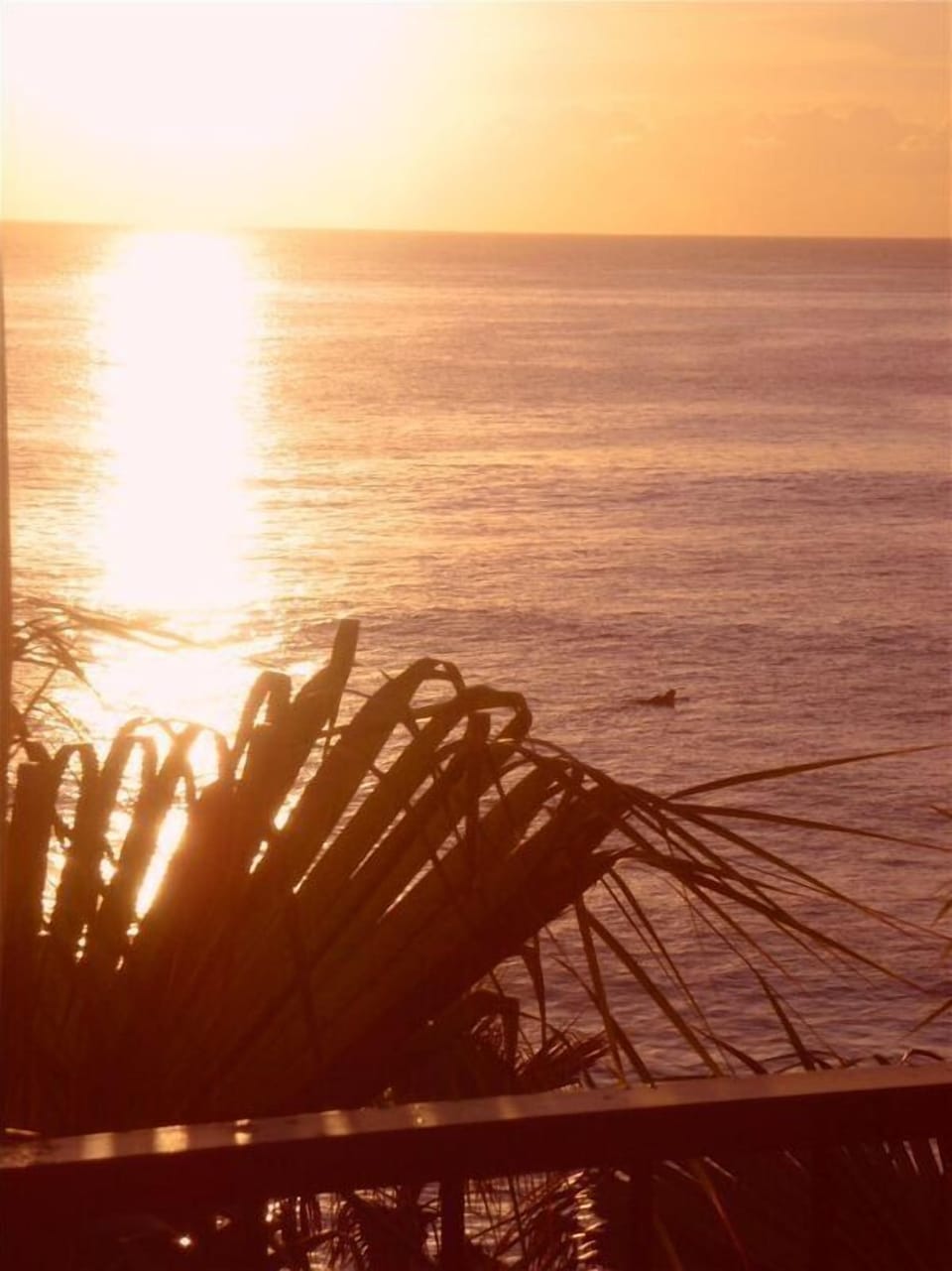 A lone surfer paddles out at sunset.