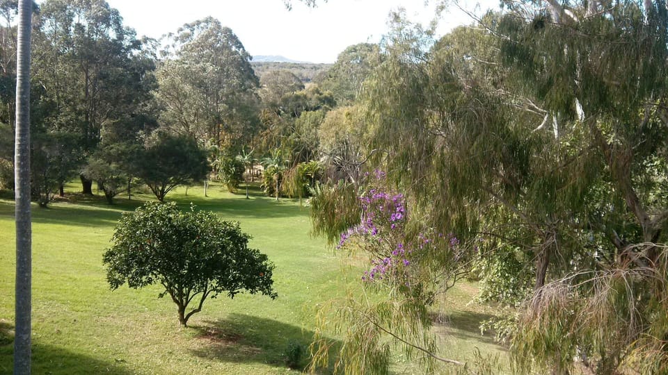 Grounds viewed from the Lodge deck.