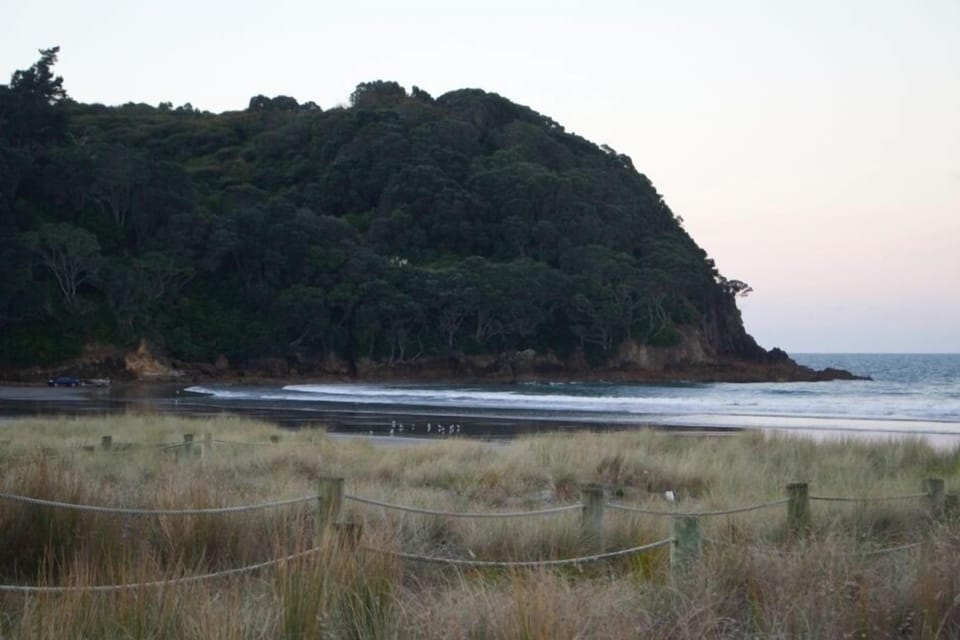 Safe and beautiful Beach and Bush