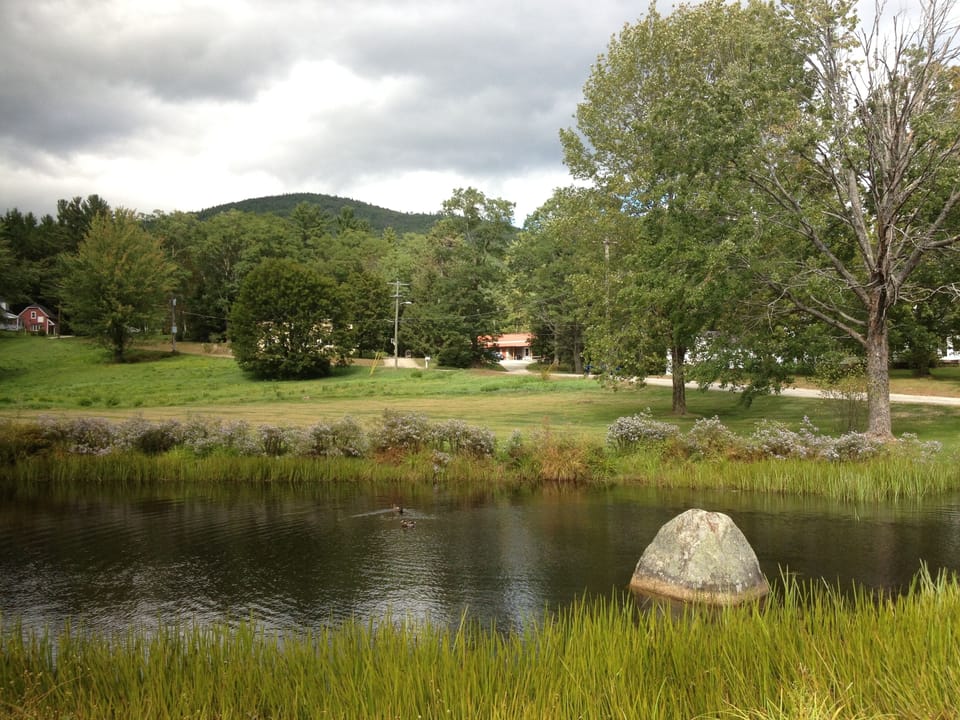 View of building from pond