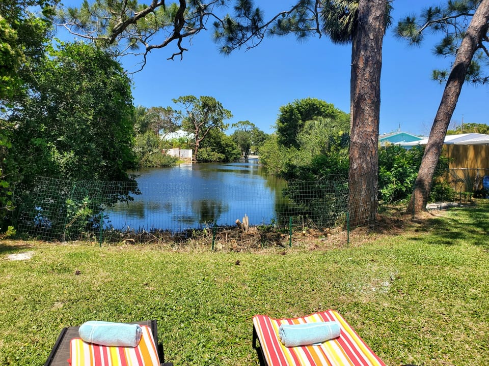 The only waterfront lagoon in New Smyrna Beach,Fl.Tropical birds visit no gators