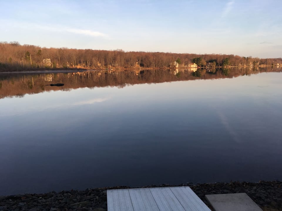 View from the water's edge