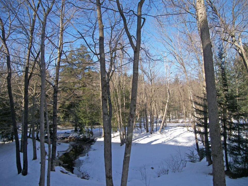 Winter View
