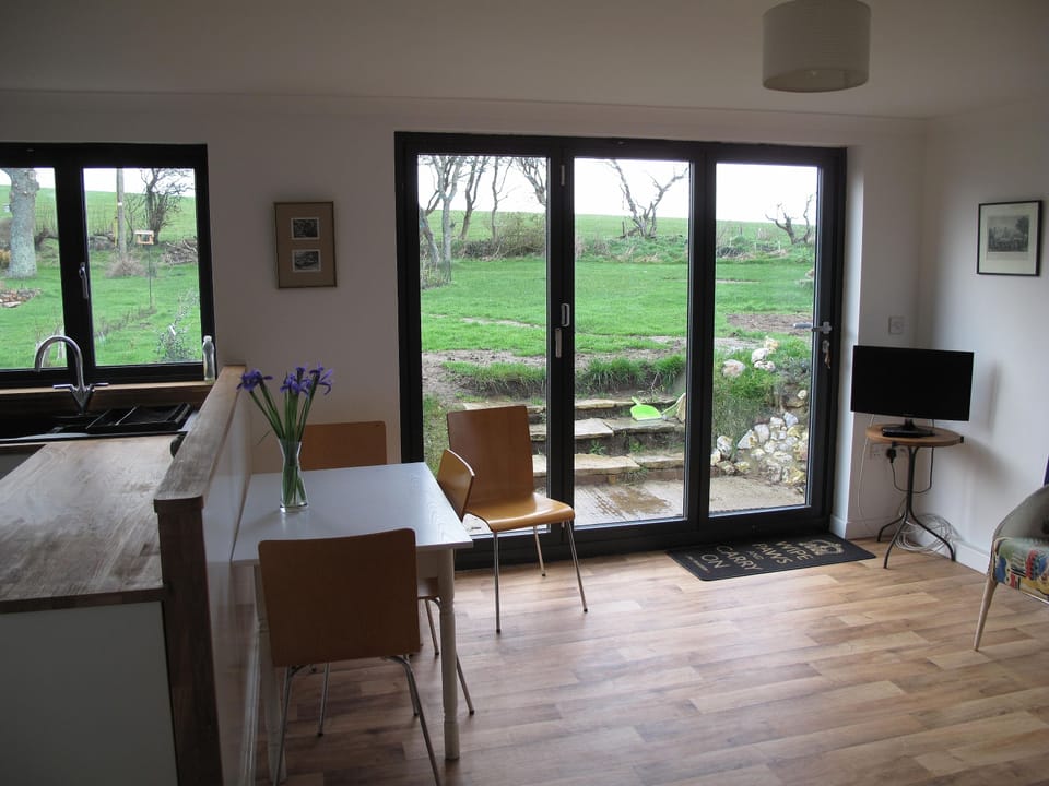 view from the lounge