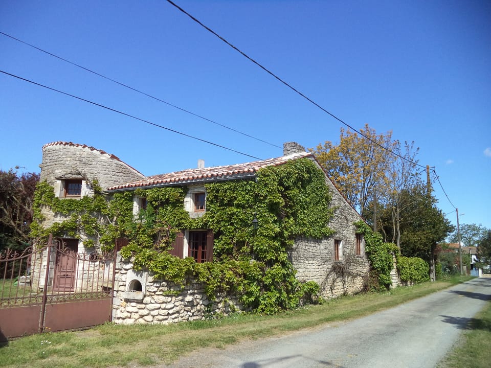 Front of house with road at side