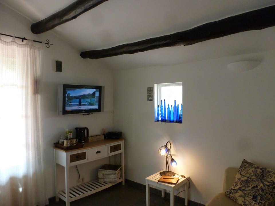 TV with HDMI cable to connect to your ipad or phone.