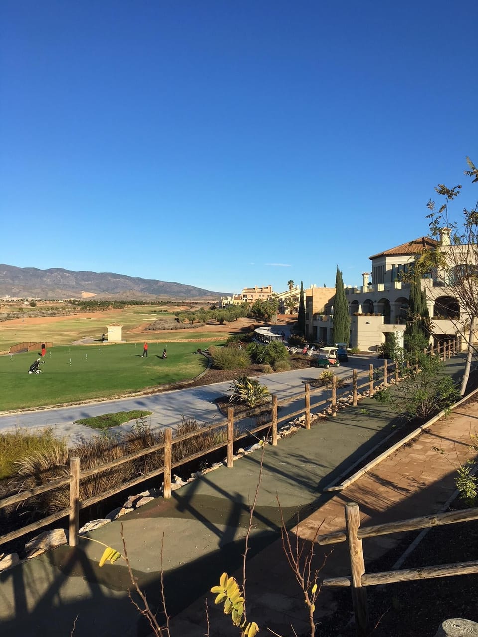 Golf