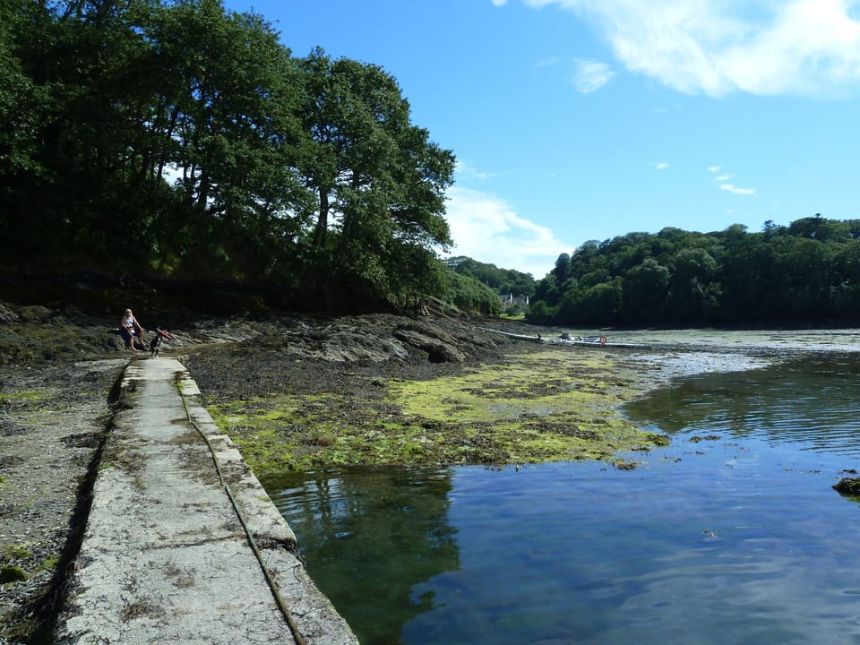 The creek at Place manor