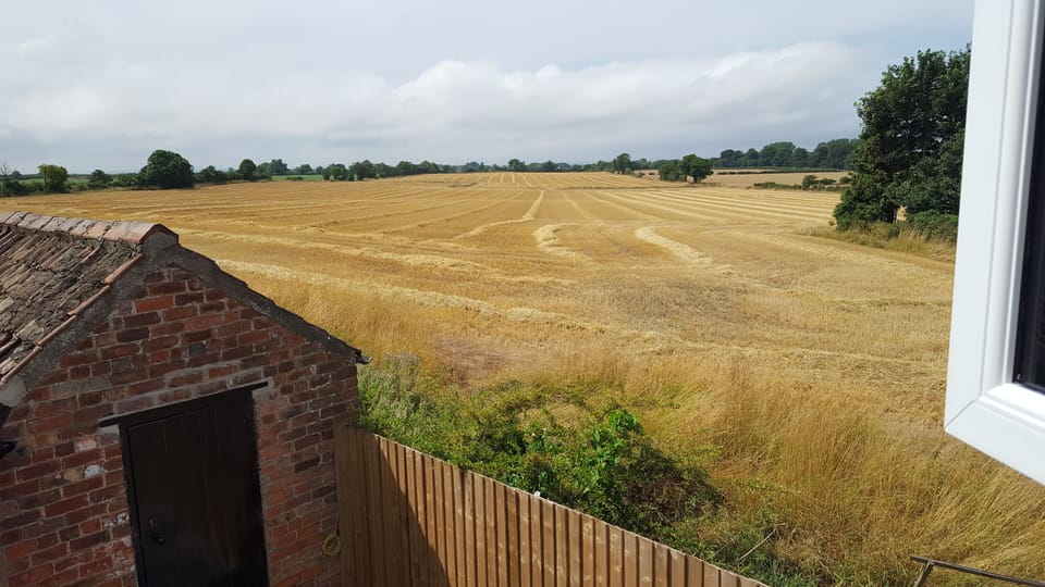 view from the rear of the property