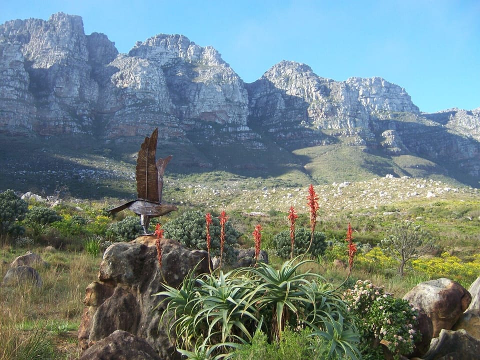 Your back garden! The Twelve Apostles & Pipe Track. LHS half way up, white rocks