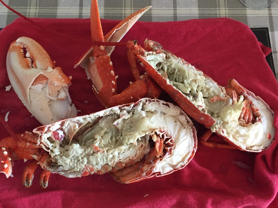 Fresh Lobster from Pengellys on the harbour