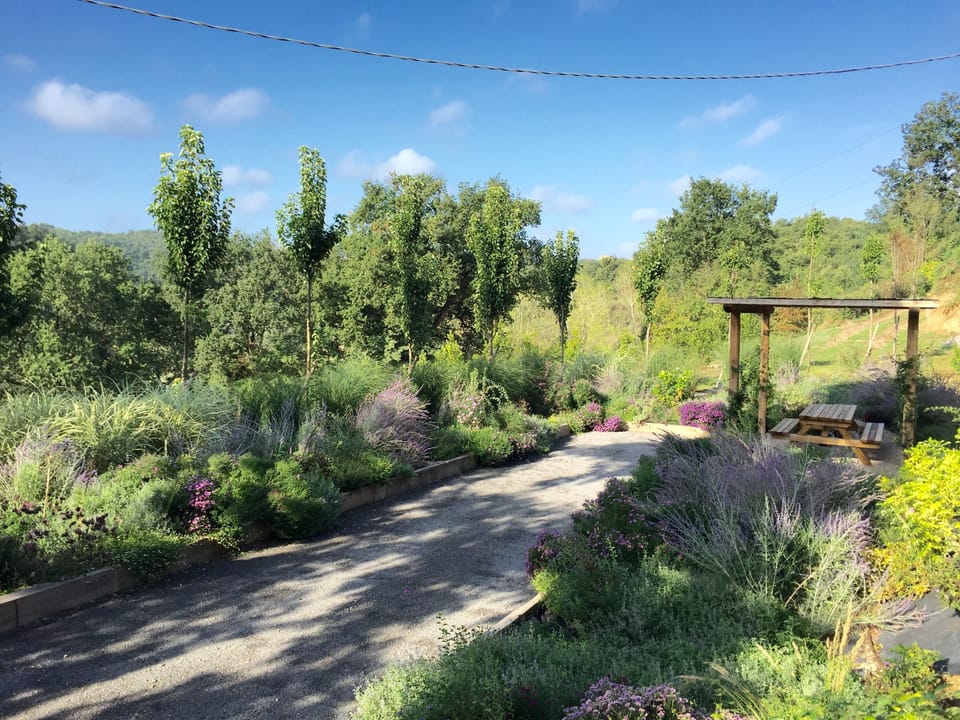 Bocce court