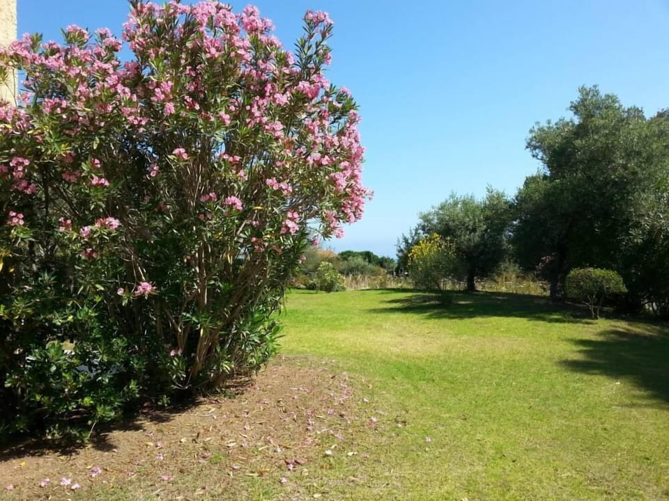 Garden, Park