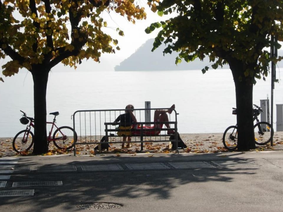 Surroundings