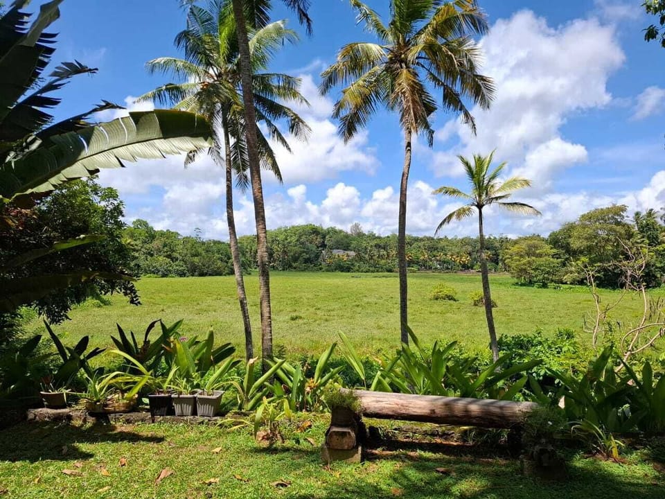 Lovely tranquil spot overlooking rice paddies