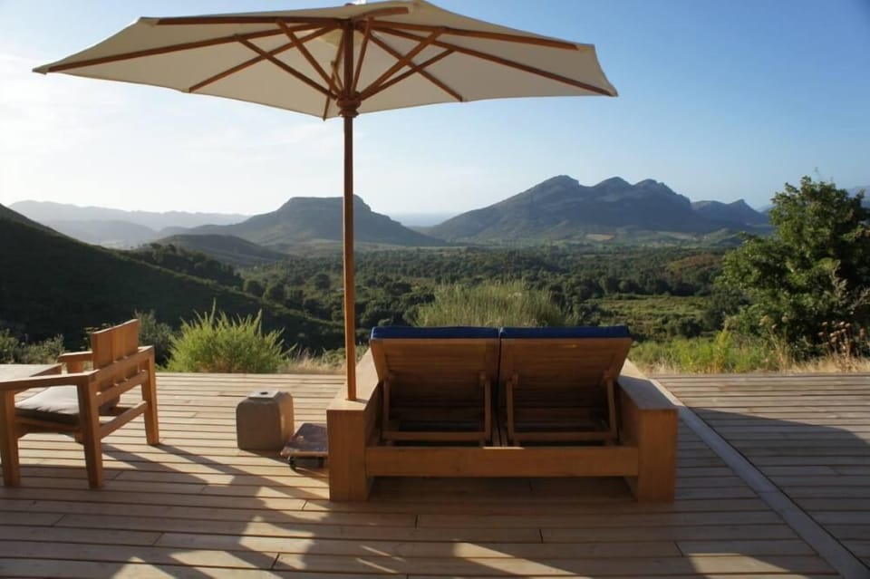 Terrace / Balcony