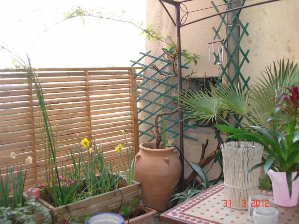 Terrace / Balcony