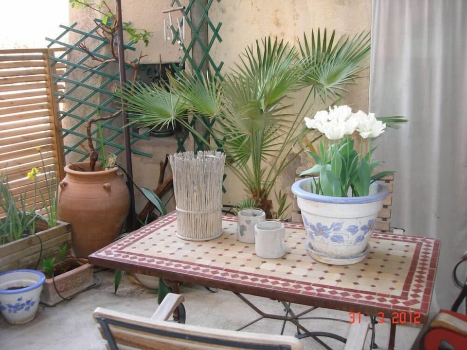 Terrace / Balcony