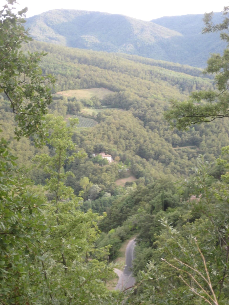 Road leading out of village towards Cortona