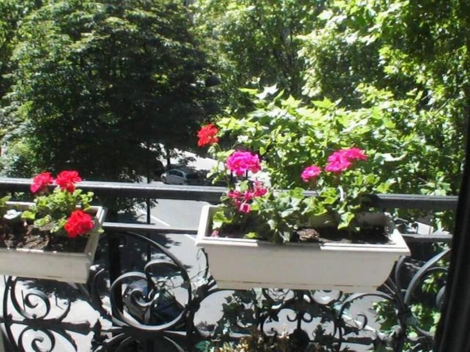 Outdoor view