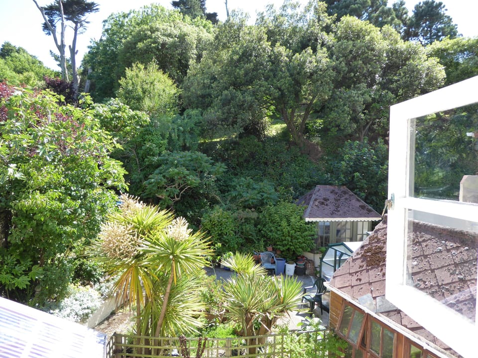THE AMAZING VIEW FROM THE BEDROOM OVER OUR OASIS OF A GARDEN.