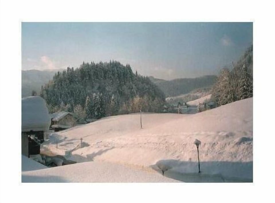 Sport Alpin Wohnung 1 Apartment in Oberstdorf