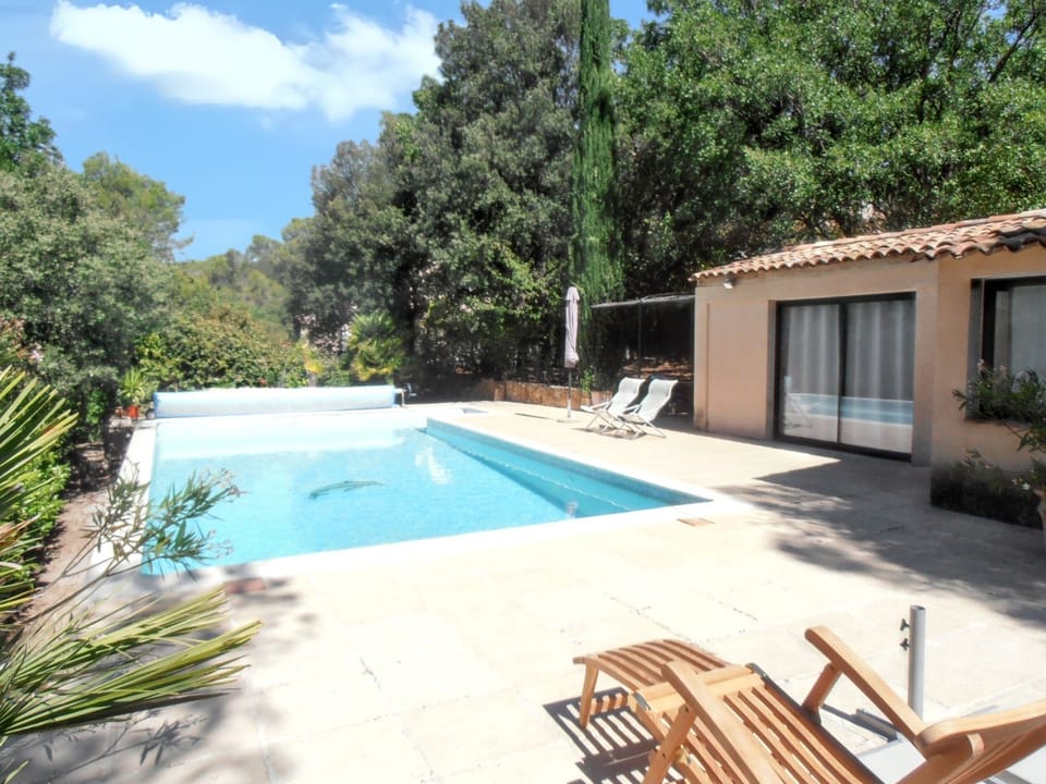 Swimming pool view