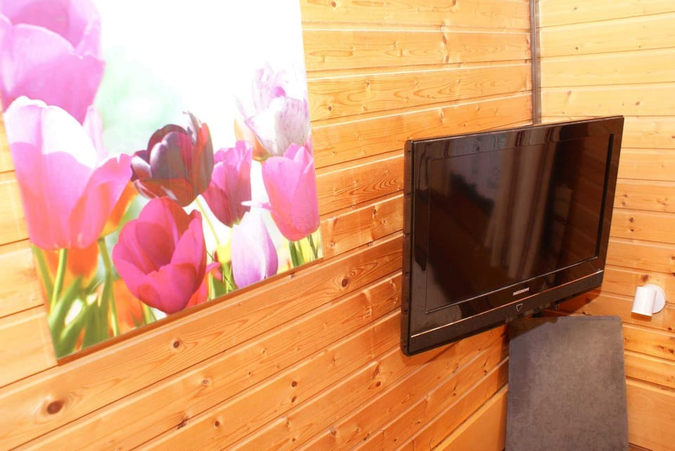 Television
