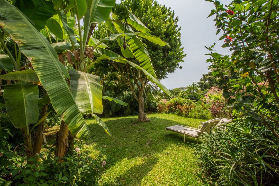 Private yard