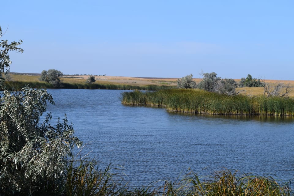 Fuller Lake located on the ranch.  Fishing, Duck Hunting & good pheasant cover.
