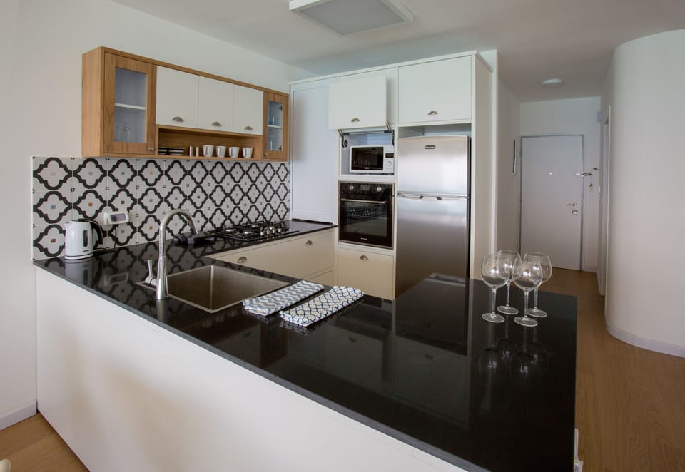 Kitchen with separate dishes for dairy and meat. There is a removable sink rack