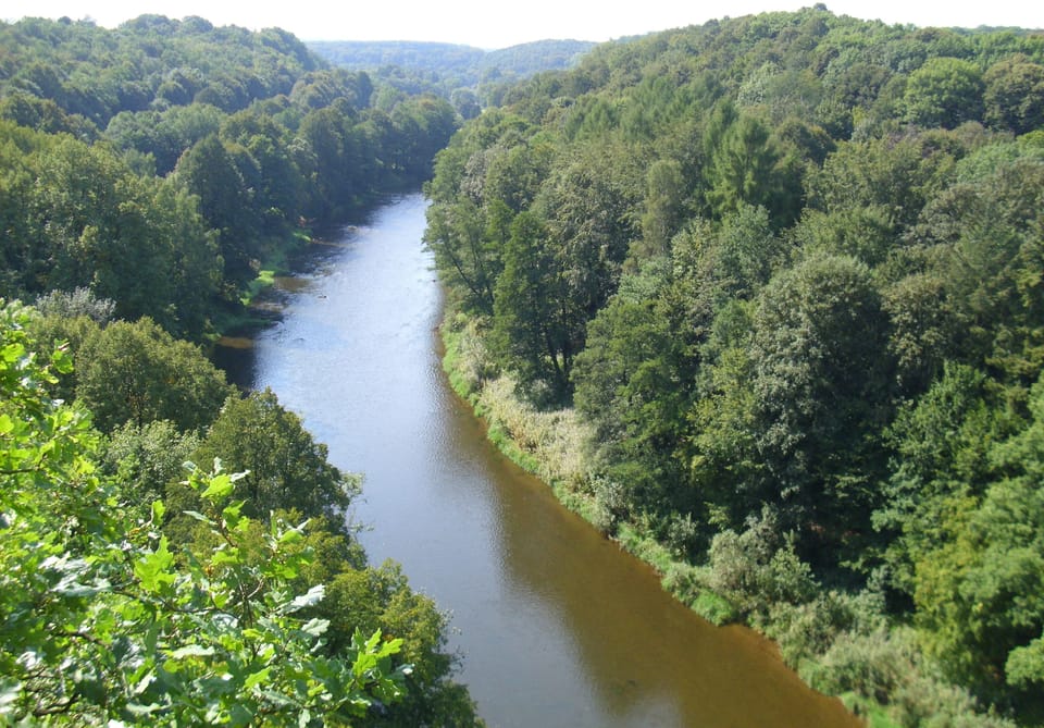 Newly renovated, cozy cottage with great comfort, pets welcome. House in Chemnitz