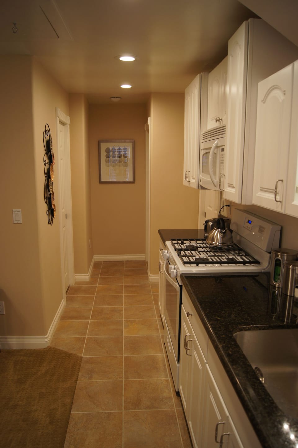 Gas Range, Granite Counters and Built-in Microwave.
