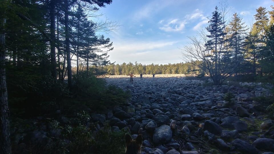 Hiking and exploring nearby