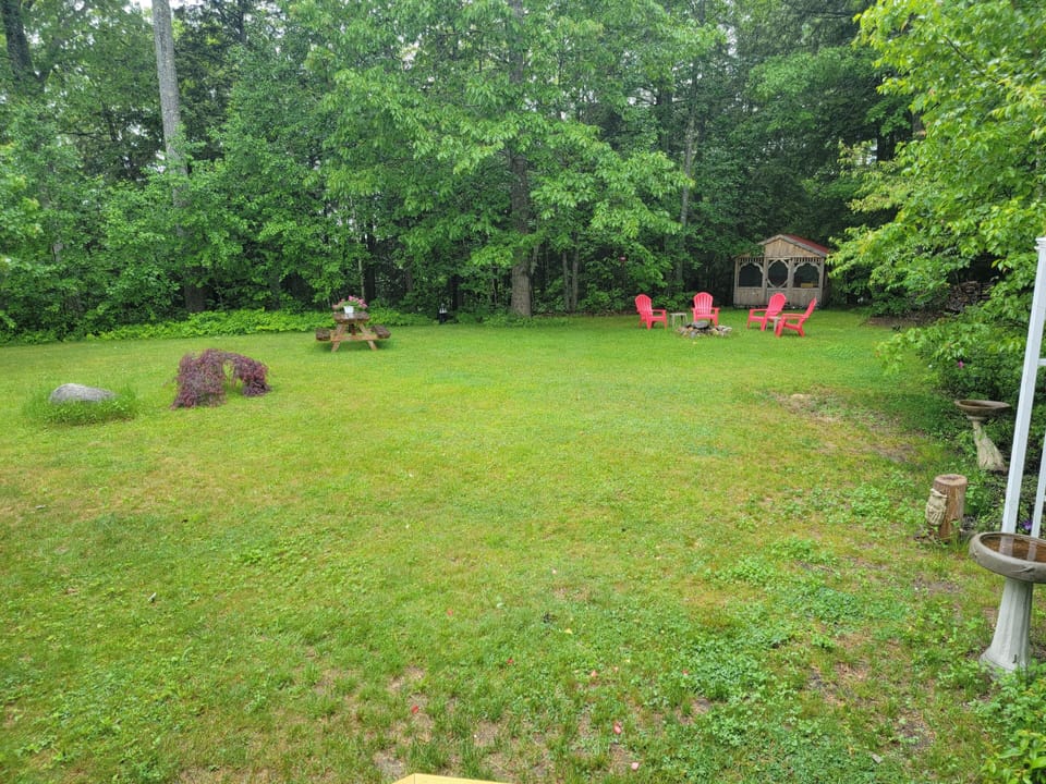 the yard