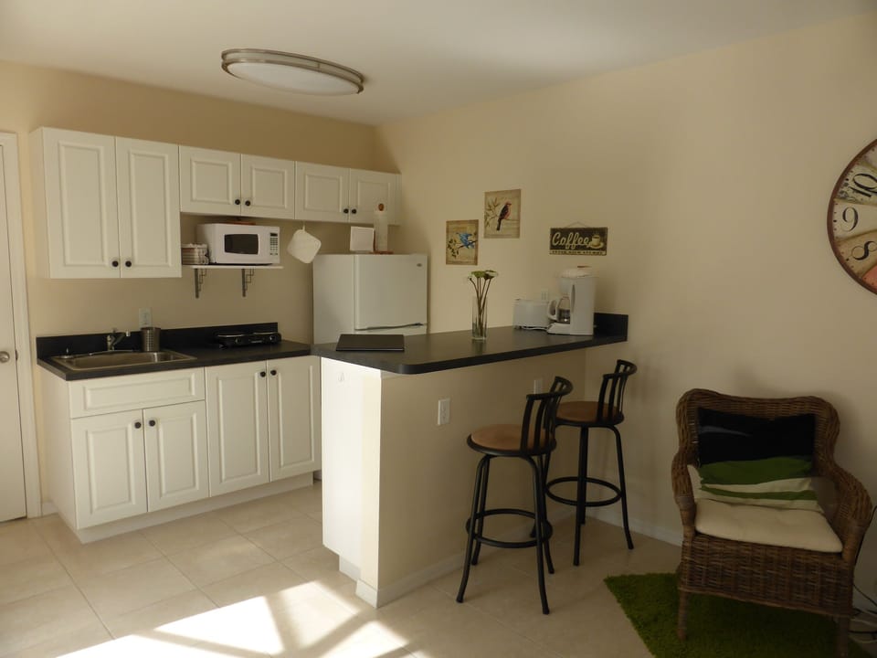 kitchen counter with a double burner and a countertop oven
