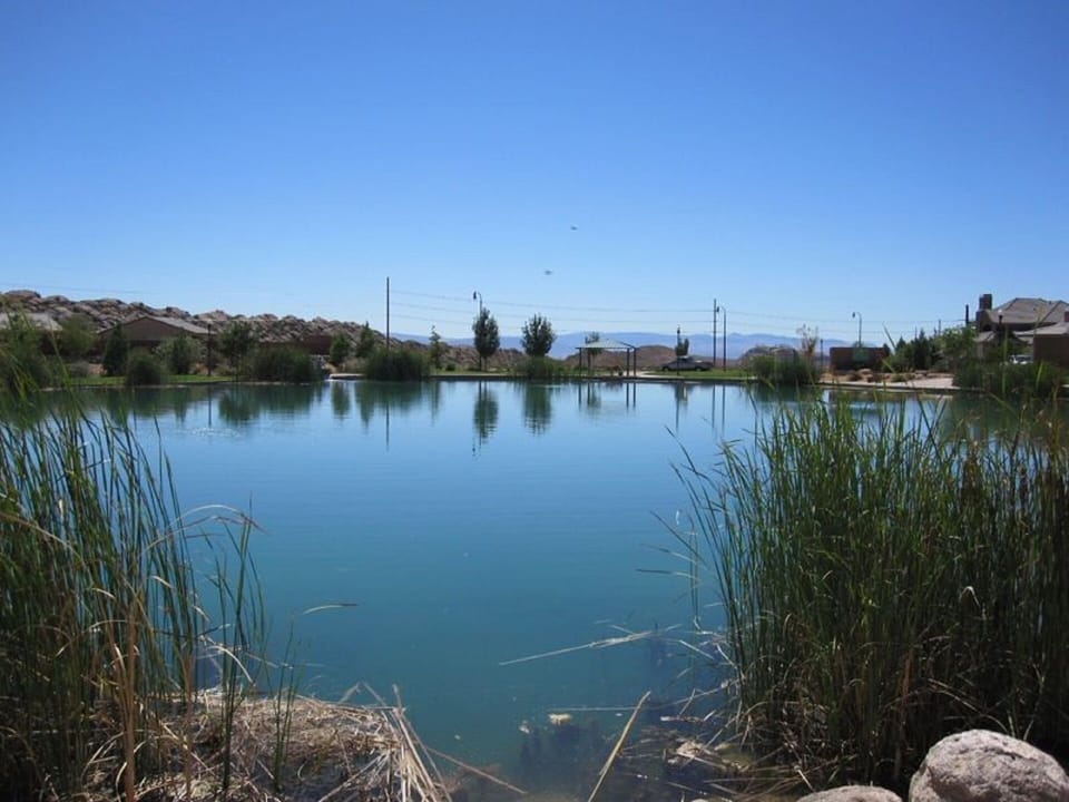 Stocked fishing pond 200 yards from front door. Bring your poles!
