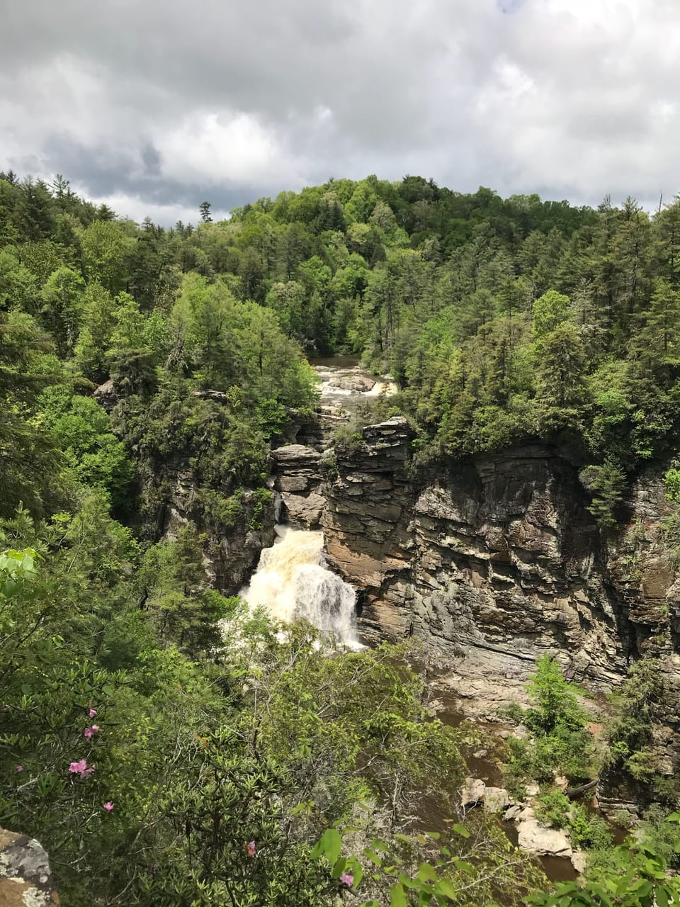 Linville Falls -15 mins away!
