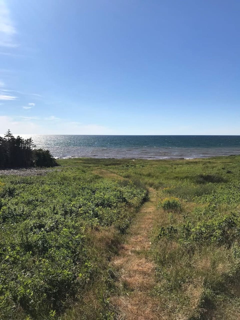 The groomed grass pathway to the lookout deck
