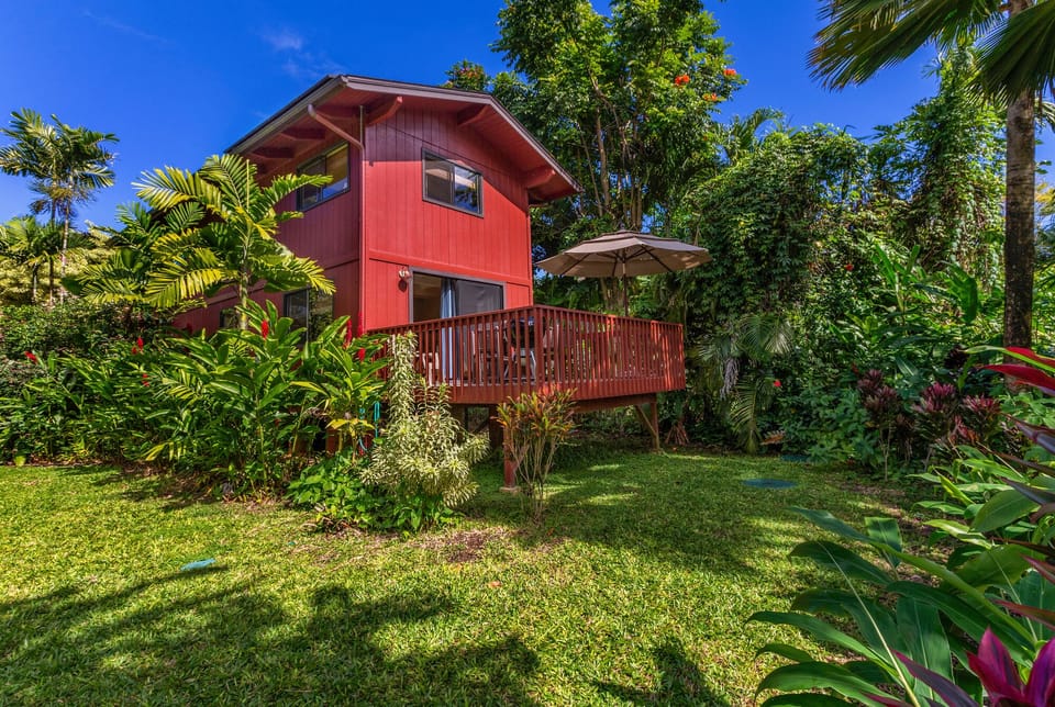 Back of house with lanai, outdoor shower, lush yard. 