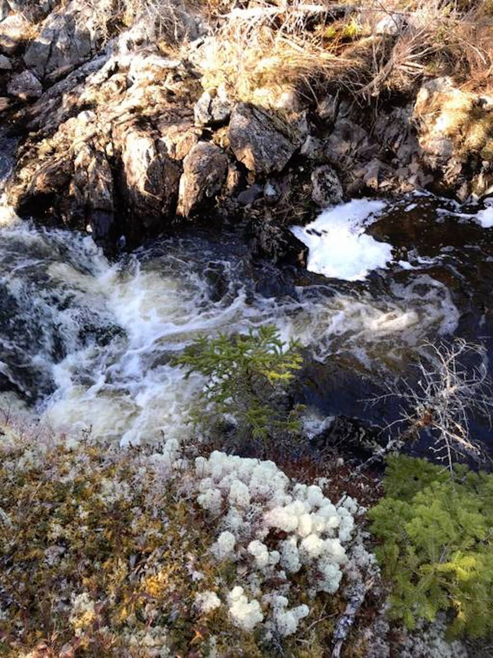 Trail leading to water cascades on our property (~1 hr total hiking time)