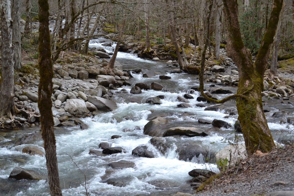 Photo taken at The Greenbrier Trail, only 5 minutes away from the cabin!!