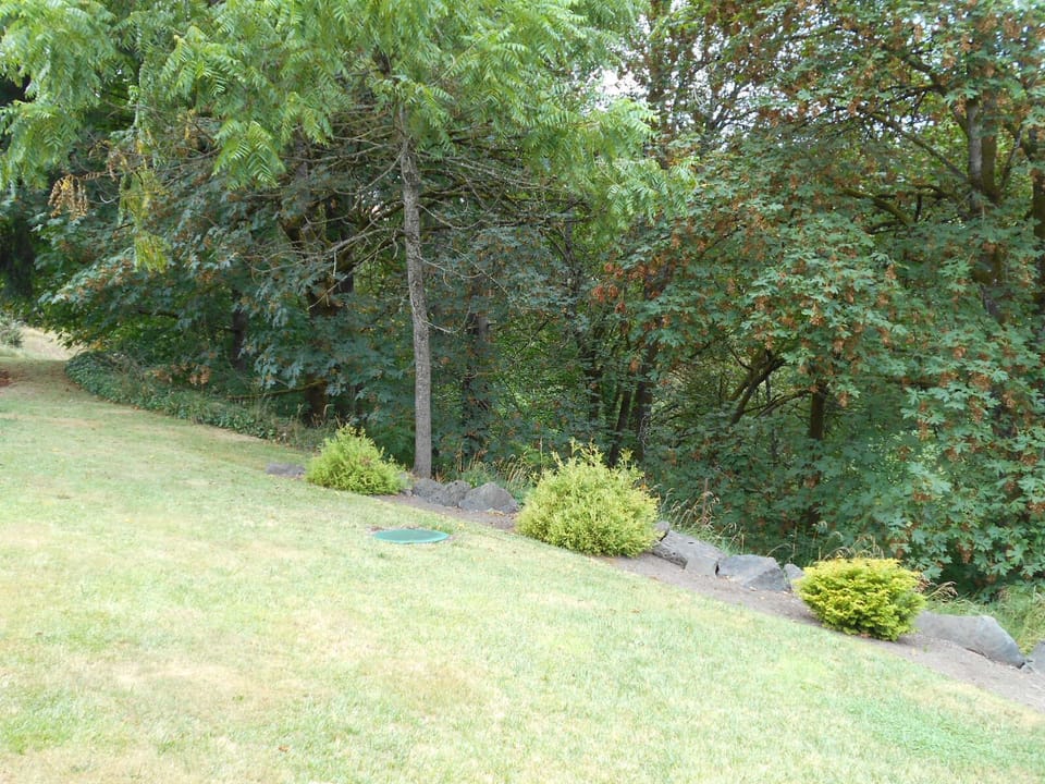 Yard with Walking Trails