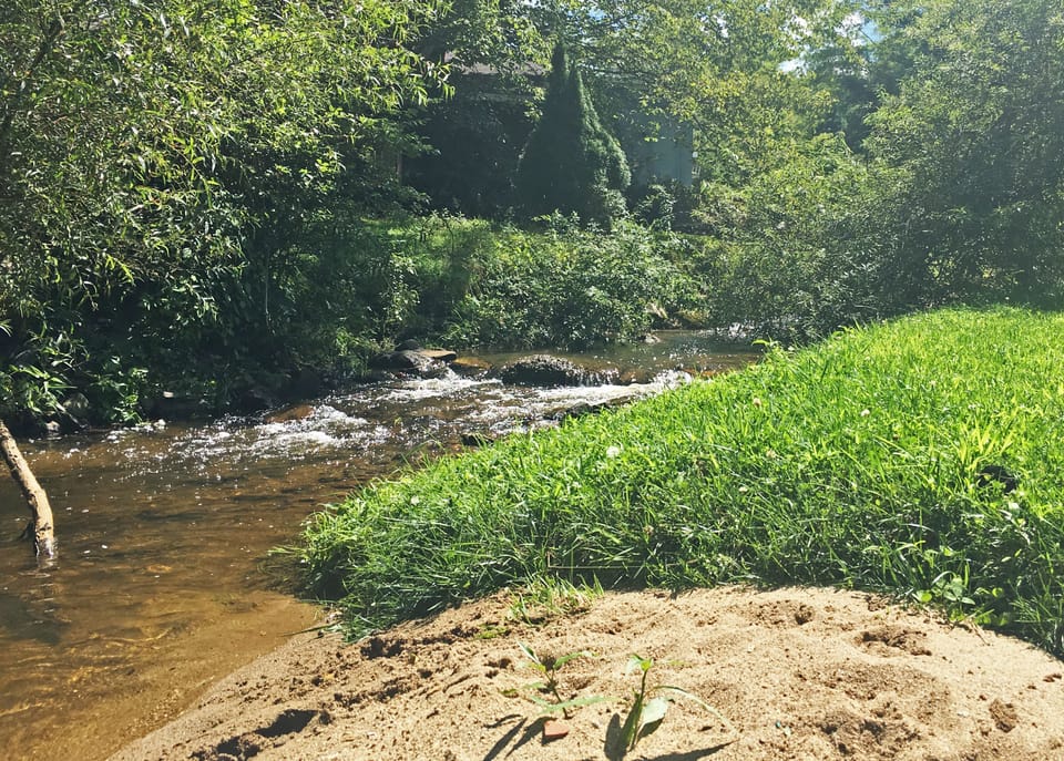 Branch of the New River located at the back of Royal Oaks 