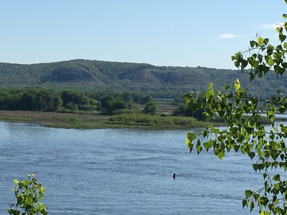 Your perfect view!!!