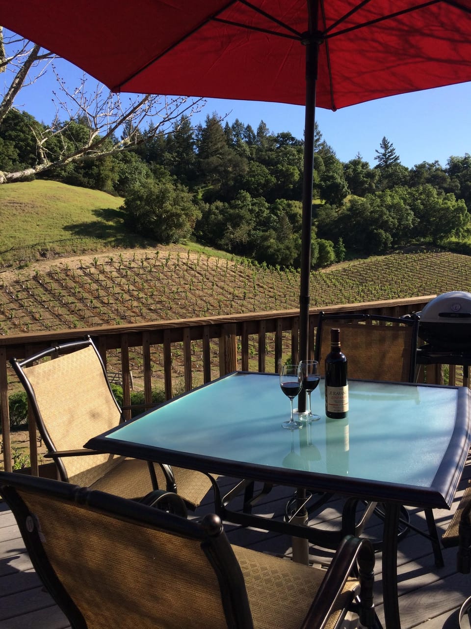 Sip on a glass of wine or bbq on the back deck overlooking rolling vineyards 🍇
